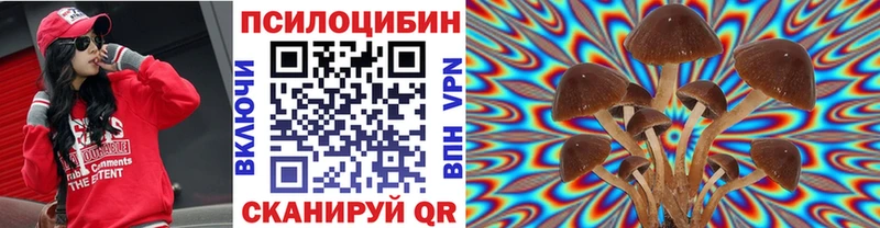 Псилоцибиновые грибы Magic Shrooms  Купить закладки  Воткинск 
